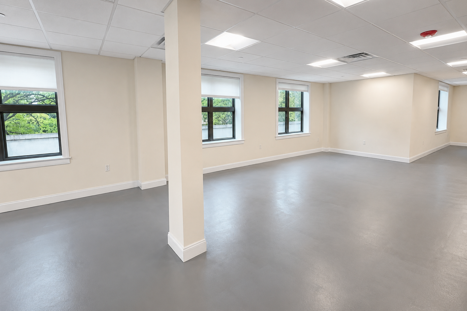 Bright Office Space in Davis Square