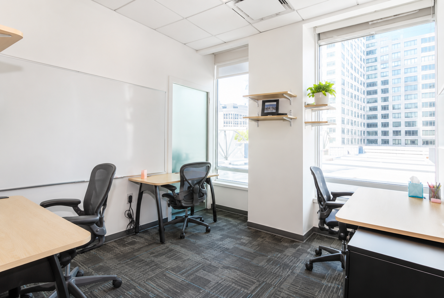 Bright and Modern Workspace in East Cambridge