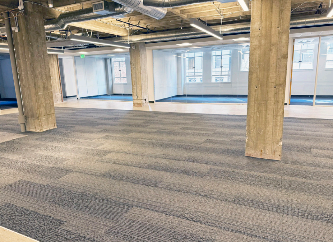 Bright, Modern FIDI Office with Natural Light