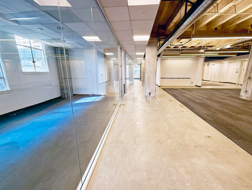 Bright, Modern FIDI Office with Natural Light