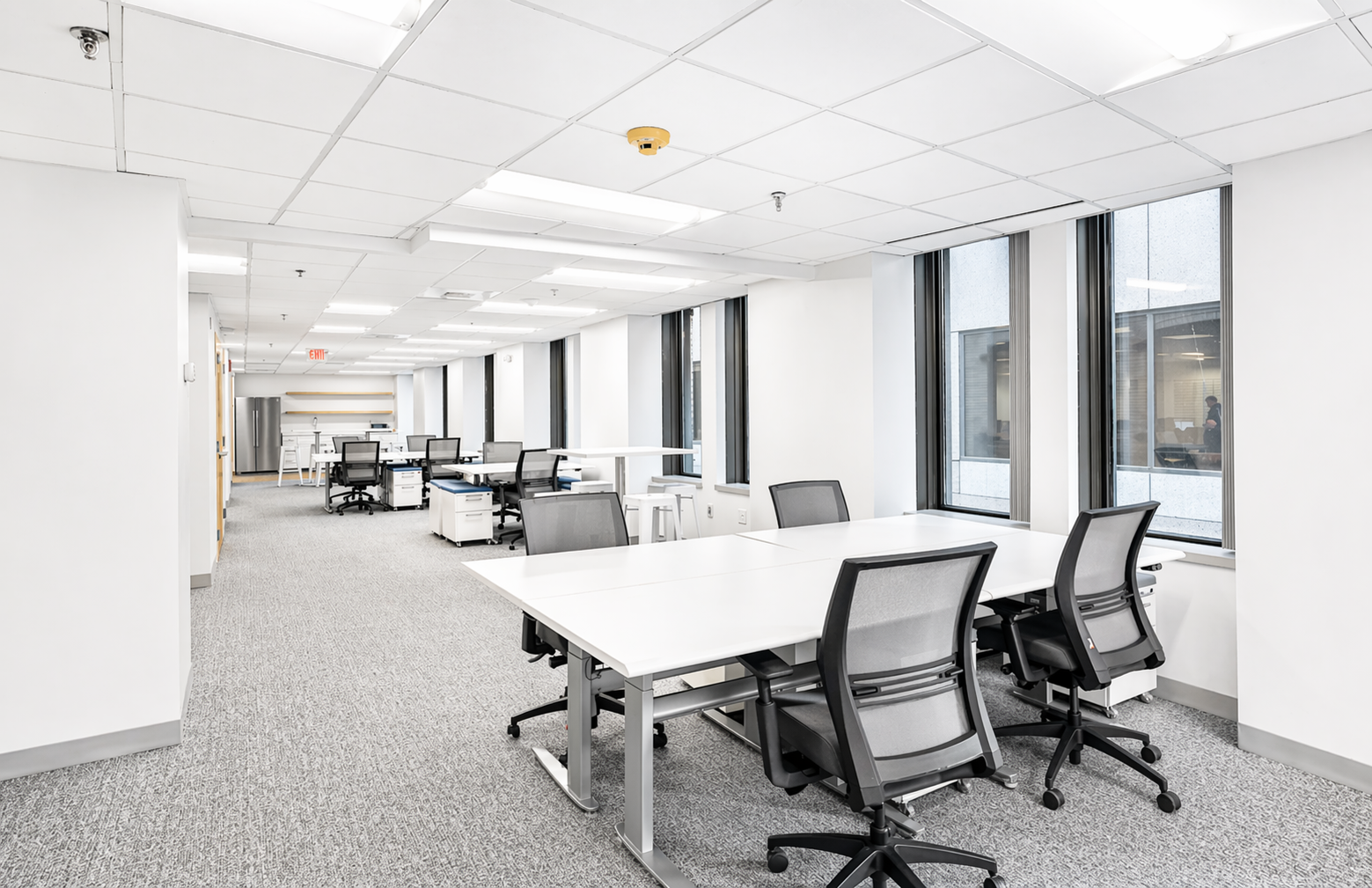 Modern, Light-Filled Downtown Office Space