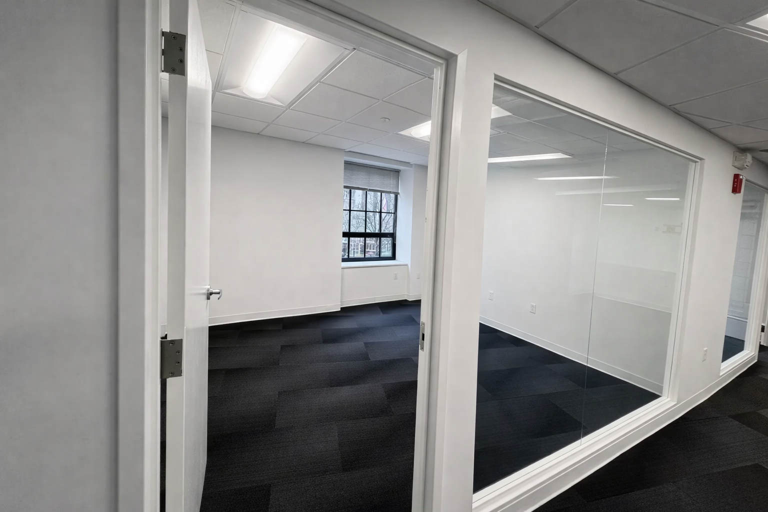 Inviting Downtown Boston Office with Natural Light